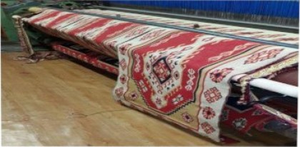 xalia-cat-photo_garifallo.gr