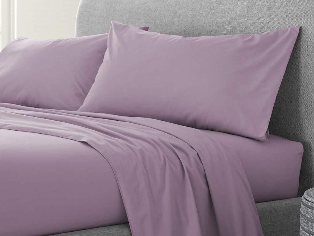 Σετ Σεντόνια Λιλά 100% Βαμβακερά Reactive One Color Γαρύφαλλο | Γαρύφαλλο - Λευκά Είδη