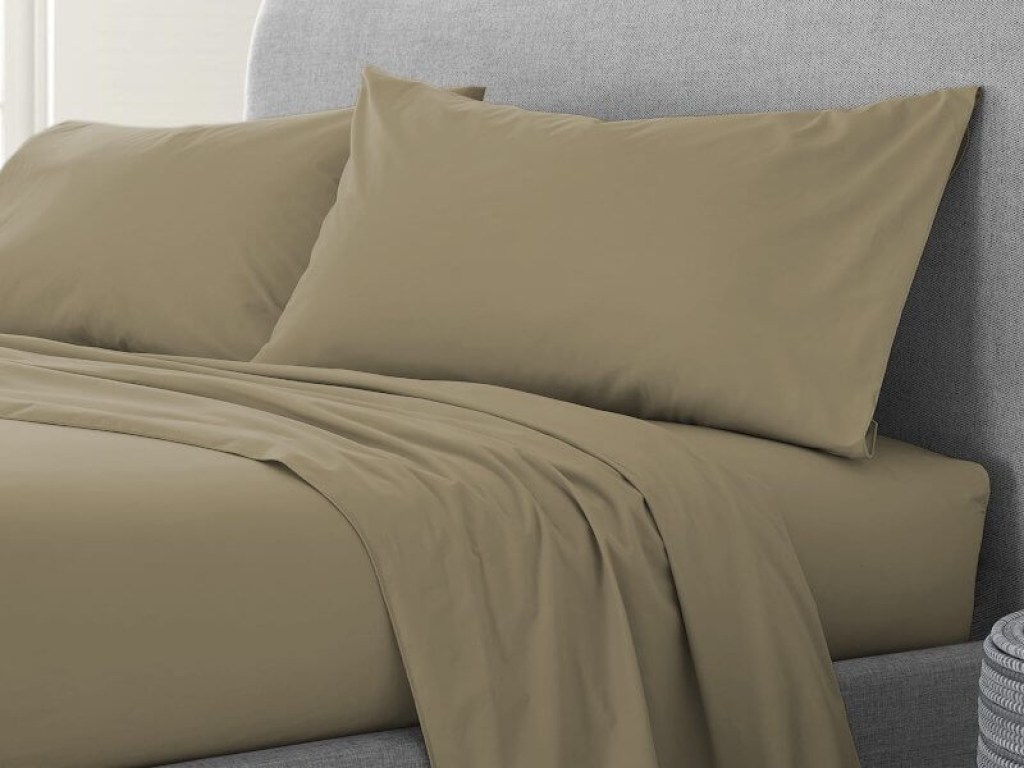 Σετ Σεντόνια Μέντα 100% Βαμβακερά Reactive One Color Γαρύφαλλο | Γαρύφαλλο - Λευκά Είδη