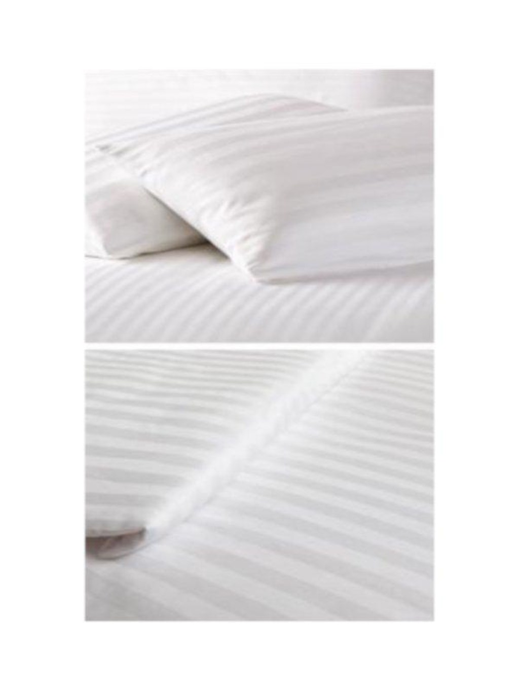 Σεντόνια Ξενοδοχείου Σατέν Βαμβακερά 230TC Γαρύφαλλο | Γαρύφαλλο - λευκά Είδη